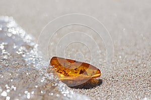 Amber stone with insect inclusion
