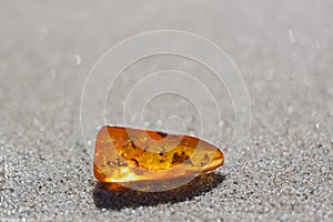 Amber stone insect inclusion sand