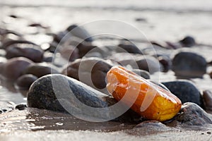 Amber stone on rocky beach. Precious gem, treasure.