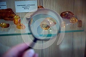 Amber stone is viewed through a magnifying glass. Noble stone amber.