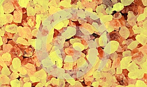 Amber Stones as Background