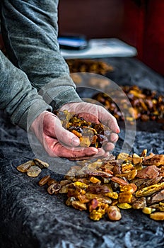 Amber stones, human hands holding amber stones.