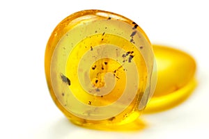 Amber stones with mosquito, isolated
