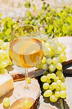 Amber wine in glasses on the nature: still life with cheese, grapes and wine in a rustic style. Georgian national wine or italian