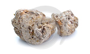 Ambergris, ambre gris, ambergrease or grey amber. Isolated on white background