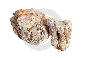 Ambergris, ambre gris, ambergrease or grey amber. Isolated on white background