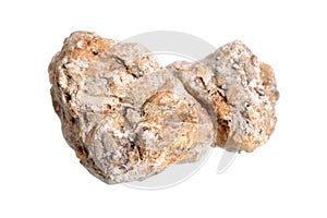 Ambergris, ambre gris, ambergrease or grey amber. Isolated on white background