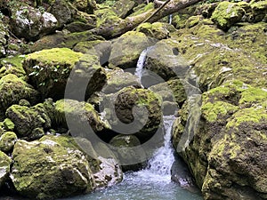Ambience of a creek Curak in the significant landscape Green whirpool - Croatia / Ambijent potoka Curak u znaÄajnom krajoliku