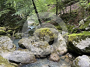 Ambience of a creek Curak in the significant landscape Green whirpool - Croatia / Ambijent potoka Curak u znaÄajnom krajoliku