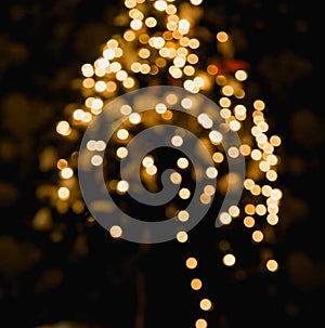 Ambient scene with Christmas tree on dark background