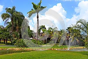 Paisagismo tropical com jardins, construÃÂ§ÃÂµes coloridas ao fundo cercadas por muita vegetaÃÂ§ÃÂ£o photo