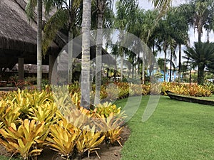 Paisagismo tropical com jardins, construÃÂ§ÃÂµes ao fundo cercadas por muita vegetaÃÂ§ÃÂ£o photo