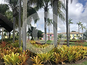 Paisagismo tropical com jardins, construÃÂ§ÃÂµes coloridas ao fundo cercadas por muita vegetaÃÂ§ÃÂ£o photo