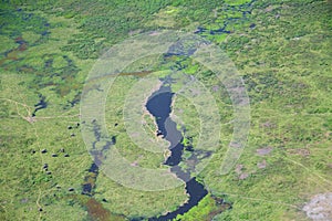 Amboseli from the Clouds looking upon Elephants