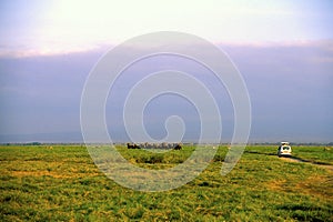 Amboseli Elephants and Van  13590