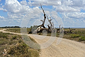 Amboseli National Park