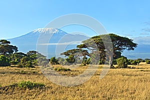 Amboseli National Park