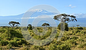 Amboseli National Park