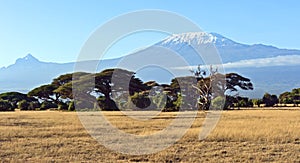 Amboseli National Park