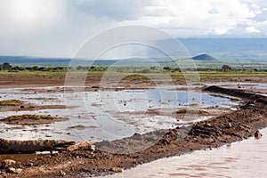 Amboseli National Park