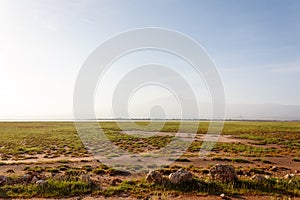 Amboseli National Park