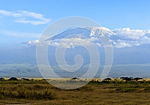 Amboseli National Park