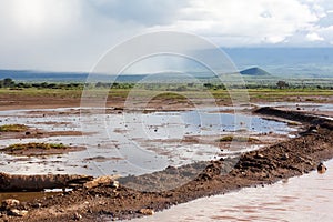 Amboseli National Park photo