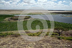 Amboseli Swamp