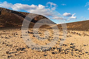 Amboy Crater in South Eastern California