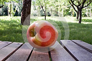 Ambrosia apple on wooden boards in the orchard