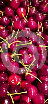 Ambrunes cherries with tail from the Jerte valley