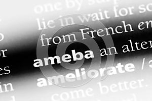 ameba