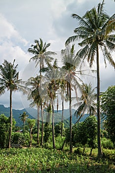 Amed Bali landscape photo