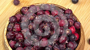 Amelanchier berries fruit rotate background, also known as shadbush, shadwood or shadblow, serviceberry, sarvisberry or