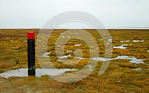 Ameland island netherlands