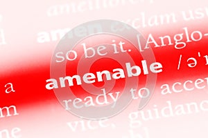 amenable