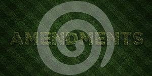 AMENDMENTS - fresh Grass letters with flowers and dandelions - 3D rendered royalty free stock image