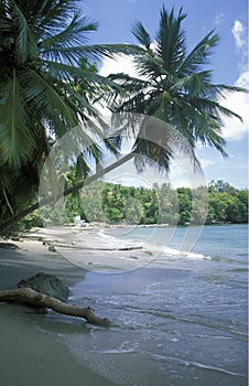 AMERICA CARIBBIAN SEA DOMINICAN REPUBLIC photo