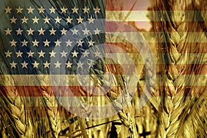 American Agriculture