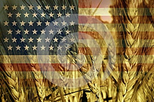 Americký zemědělství 