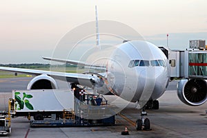 American Airlines boeing 777 at gate in Ezeiza airport Buenos Aires Argentina photo