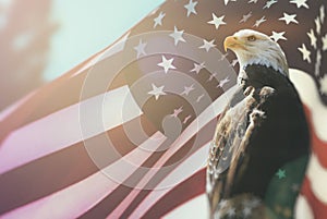 Americano calvo águila bandera patriotismo 