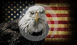 American Bald Eagle on Grunge Flag