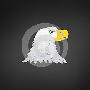 American Bald Eagle or Hawk Head Mascot Graphic, Bird facing side. T-shirt graphics. Vector illustration isolated on white