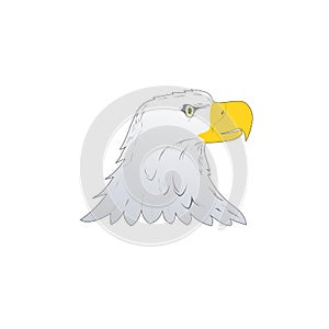 American Bald Eagle or Hawk Head Mascot Graphic, Bird facing side. Vector illustration isolated on white background