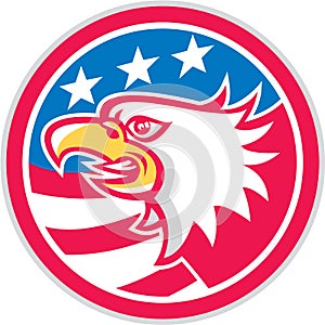 American Bald Eagle Head Flag Circle Retro