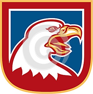 American Bald Eagle Head Shield Retro