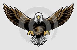 American Bald Eagle with Open Wings and Claws in Cartoon Style