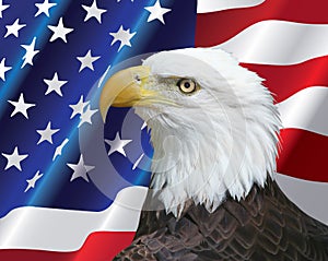 American Bald Eagle portrait with USA flag Background