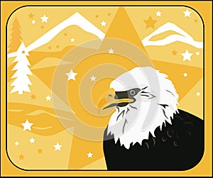 American Bald Eagle Star